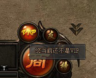 VIP图标