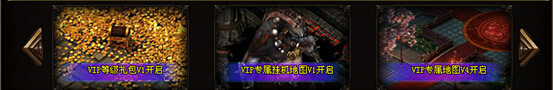 VIP专属挂机地图